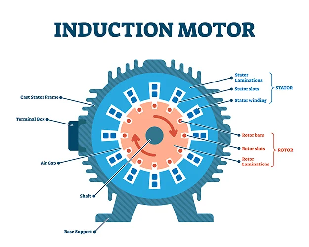 Stator Slots of an Induction Motor